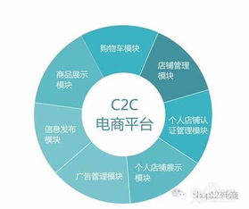 电子商务专业有几种类型