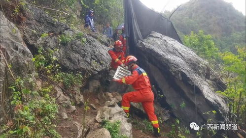 武夷山一女游客被蛇咬死?假