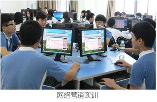 电子商务学的专业课