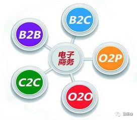 会计学电子商务专业类别