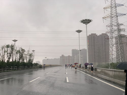 亲历者视角下的南方暴雨