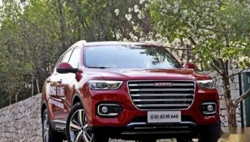 长城汽车哈弗x6商务车（哈弗x6新款2019款图片）